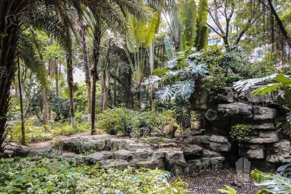 翠海花園|香蜜公園旁大社區，寬景客廳標準大四房，紅本滿五