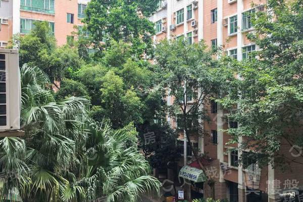 深圳陽光翠園|陽光翠園交通便利，朝南三房，俯瞰東湖水庫和布吉全景