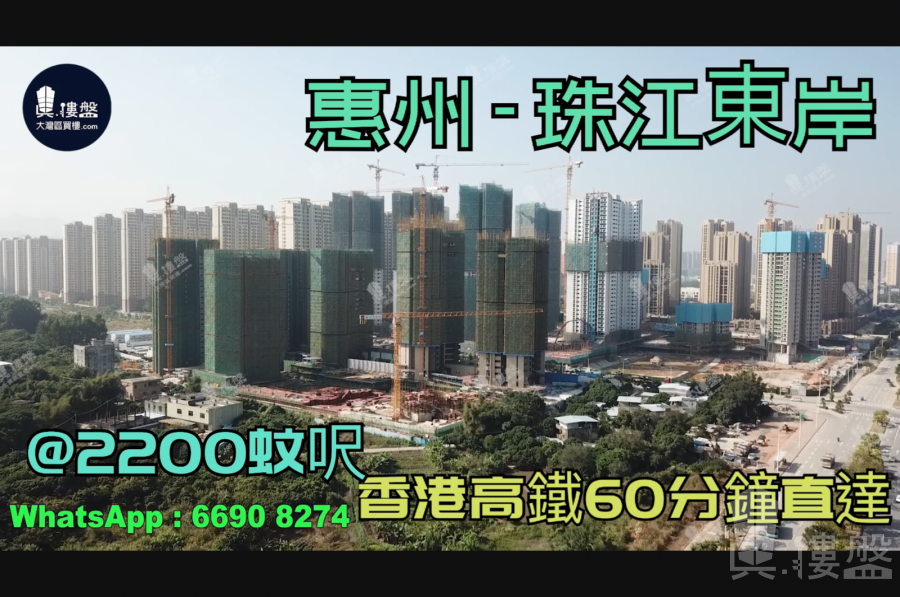 珠江東岸-惠州|首期3萬(減)|@2200蚊呎|香港高鐵60分鐘直達|香港銀行按揭(實景航拍)